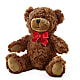 Adorable oso de peluche