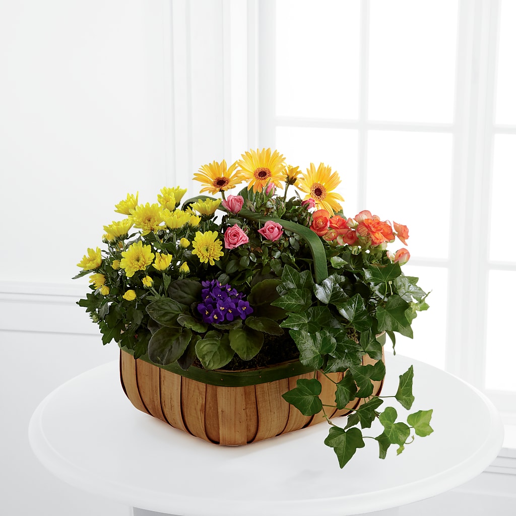 Panier Douces Floraisons