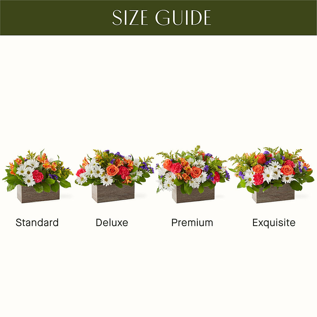 Oopsie Daisy Box Bouquet – Bamboo Flowers, Buford GA