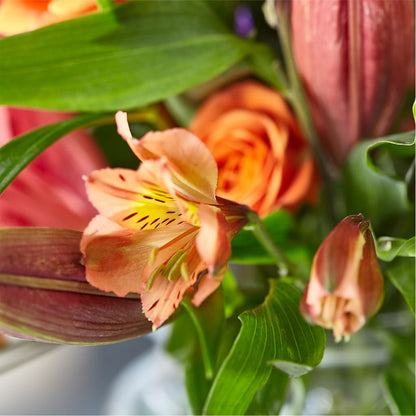 Bold & Bright – A Florist Original –  Bamboo Flowers, Buford GA