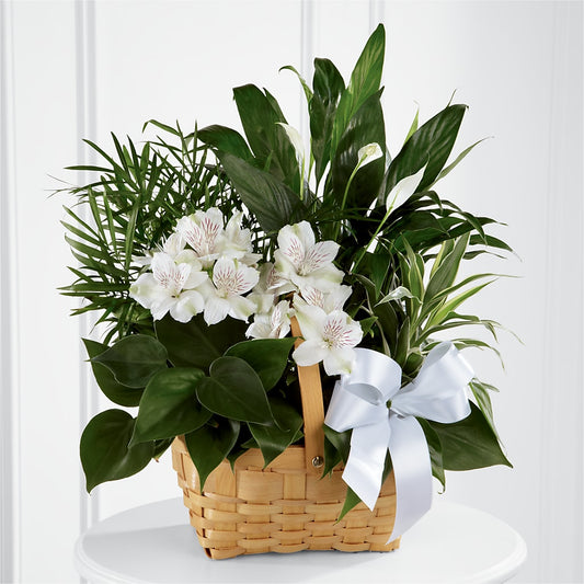 Peace & Serenity Dishgarden –  Bamboo Flowers, Buford GA