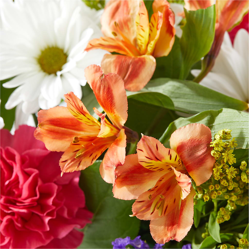 Oopsie Daisy Box Bouquet –  Bamboo Flowers, Buford GA