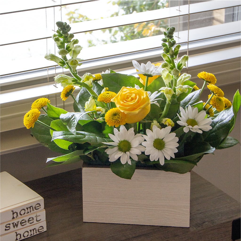 Sun Salutation Box Bouquet –  Bamboo Flowers, Buford GA