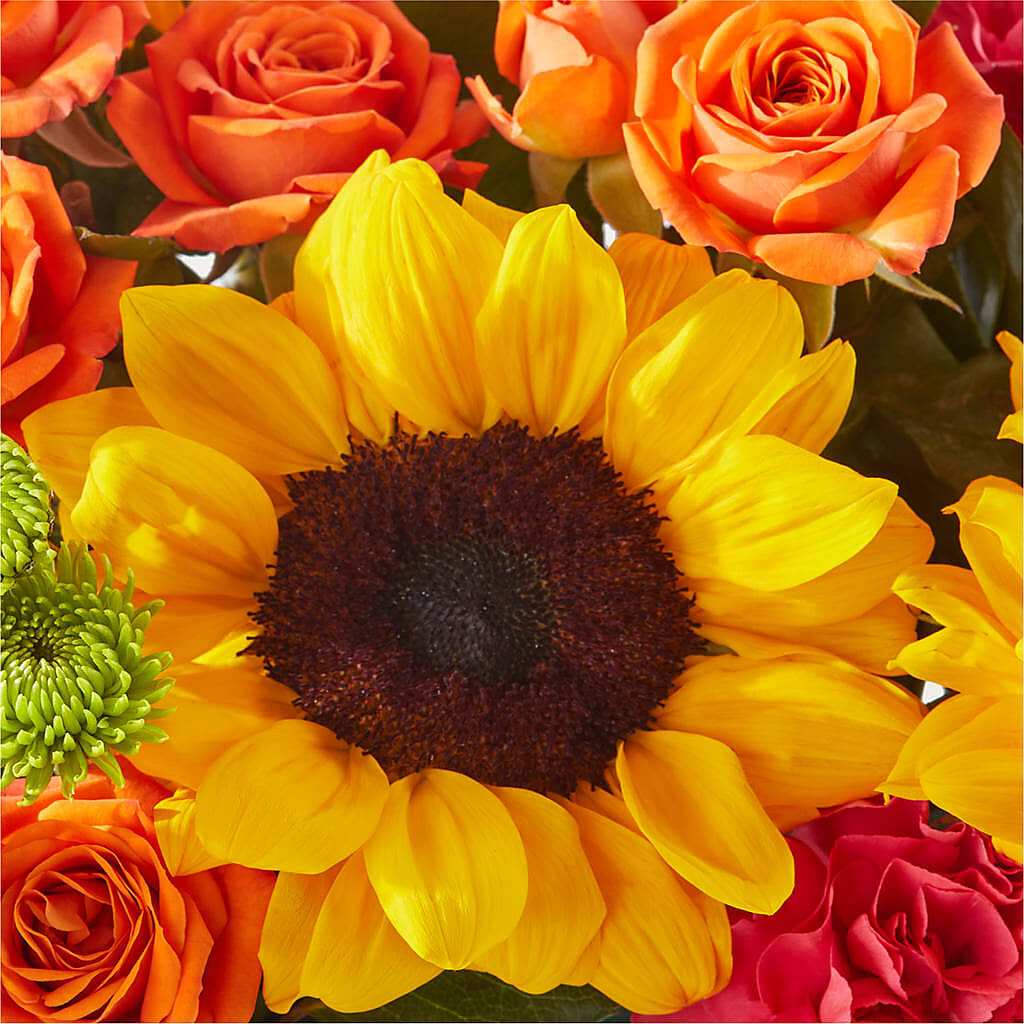 Sun-drenched Blooms Box Bouquet –  Bamboo Flowers, Buford GA