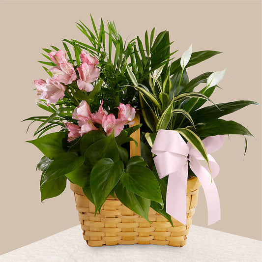 Living Spirit Dishgarden –  Bamboo Flowers, Buford GA