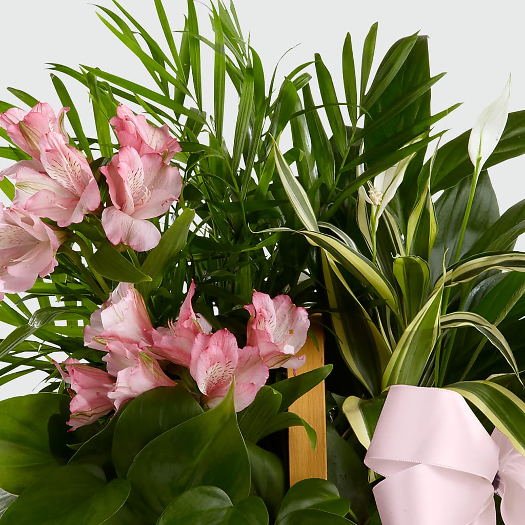 Living Spirit Dishgarden –  Bamboo Flowers, Buford GA
