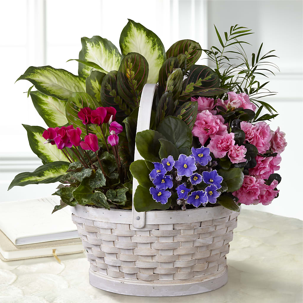 Peaceful Garden Planter –  Bamboo Flowers, Buford GA