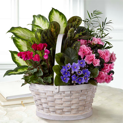 Peaceful Garden Planter –  Bamboo Flowers, Buford GA