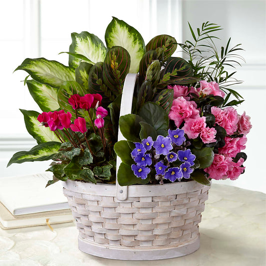 Peaceful Garden Planter –  Bamboo Flowers, Buford GA