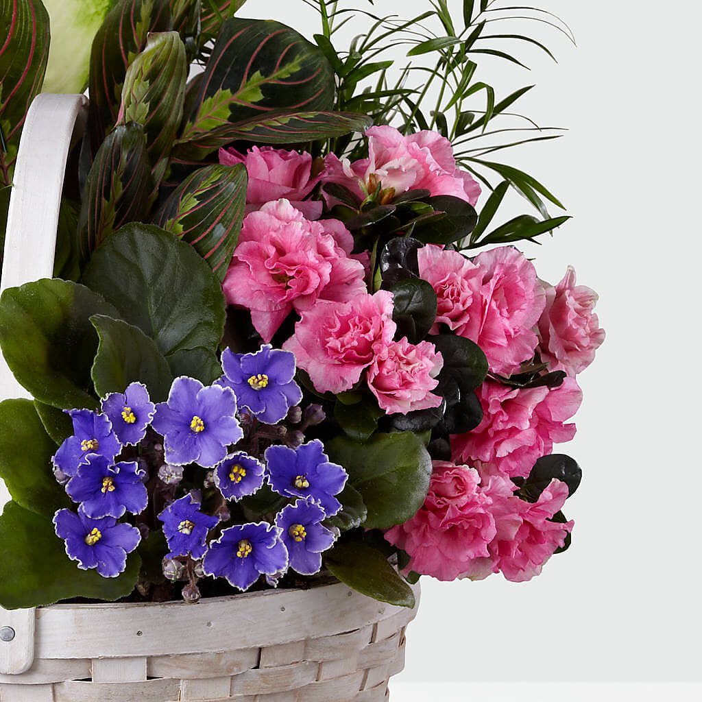 Peaceful Garden Planter –  Bamboo Flowers, Buford GA