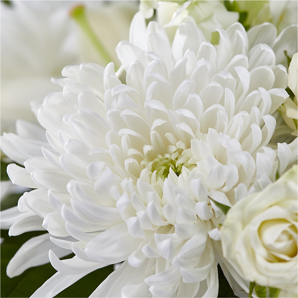 Classic Ivory – A Florist Original –  Bamboo Flowers, Buford GA