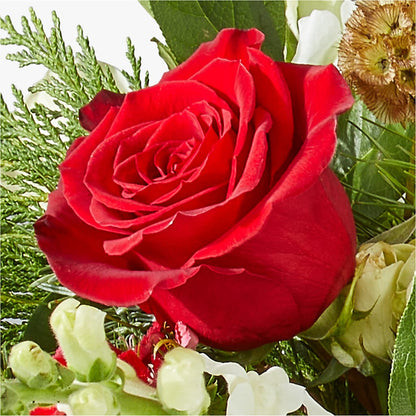 Deck the Halls Bouquet –  Bamboo Flowers, Buford GA