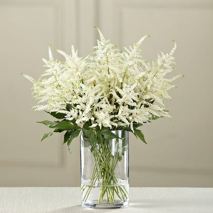 Bouquet d'astilbes blanches