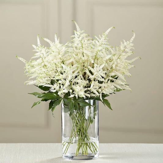 Ramo de astilbes blancas