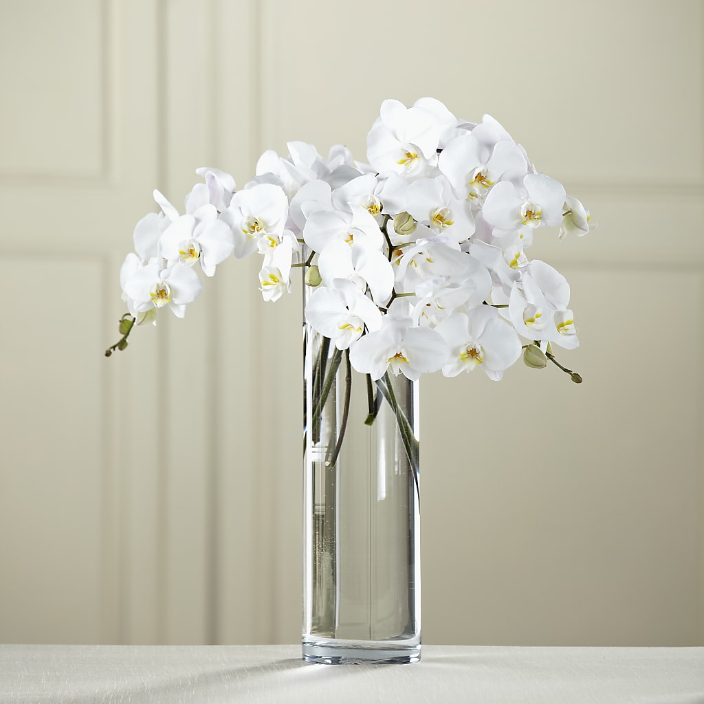 Bouquet de Phalaenopsis blancs