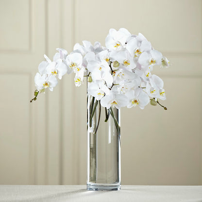 Bouquet de Phalaenopsis blancs