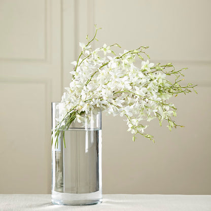 Bouquet de dendrobiums blancs